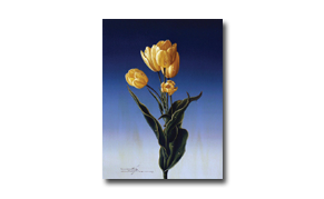 Myung 'Mario' Jung, 'Yellow Tulips', Oil on Board